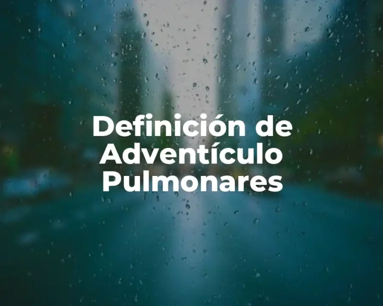 Definición de Adventículo Pulmonares