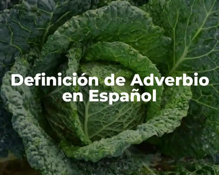 Definición de Adverbio en Español