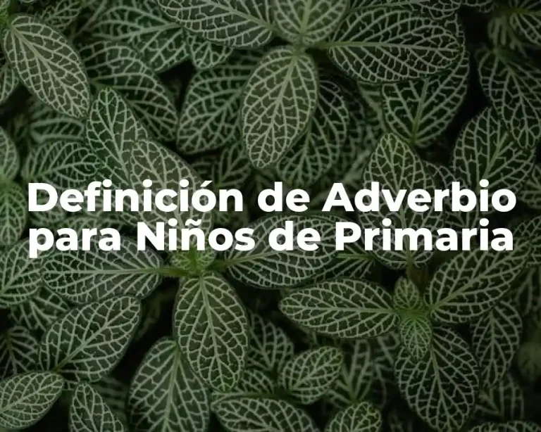 Definición de Adverbio para Niños de Primaria