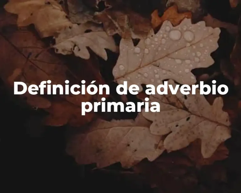 Definición de adverbio primaria