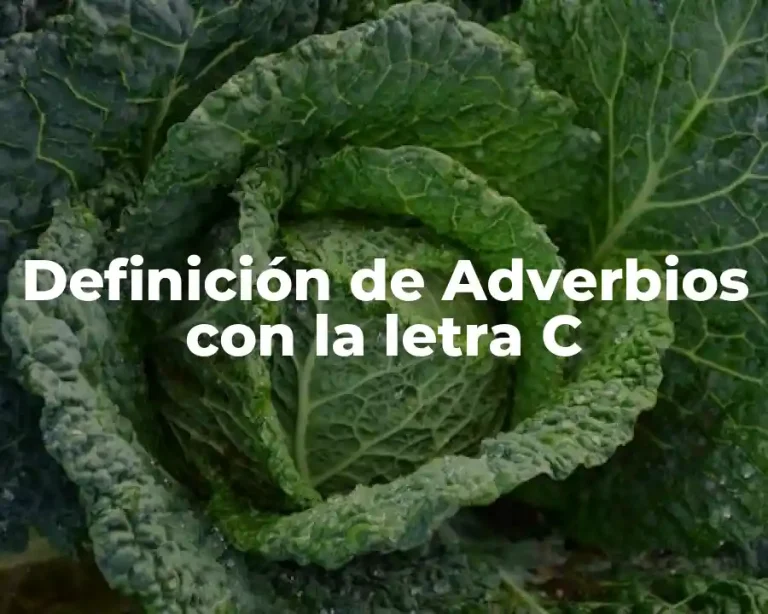 Definición de Adverbios con la letra C