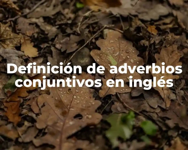 Definición de adverbios conjuntivos en inglés