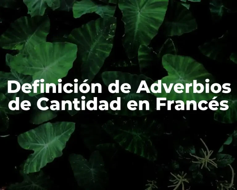 Definición de Adverbios de Cantidad en Francés