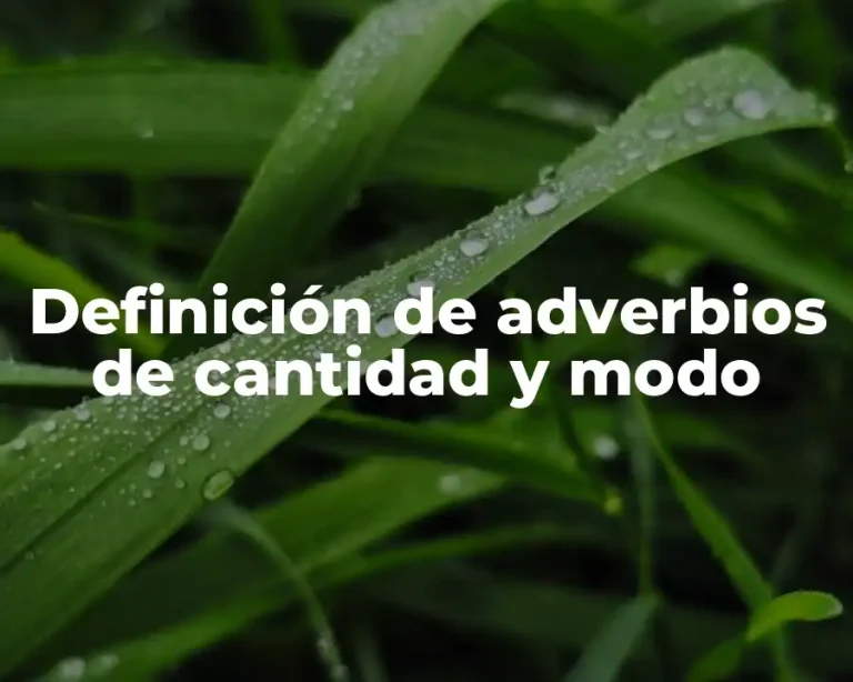 Definición de adverbios de cantidad y modo