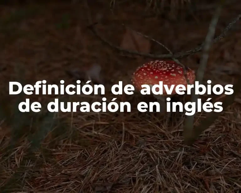 Definición de adverbios de duración en inglés