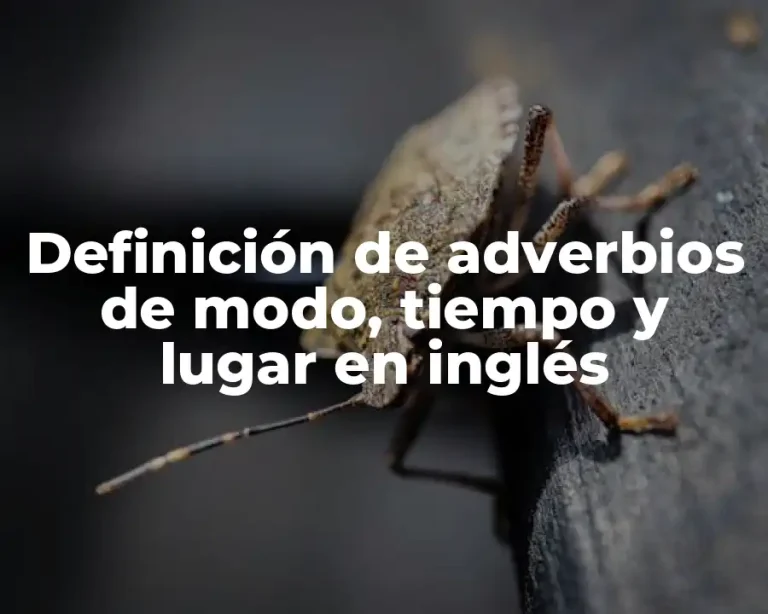 Definición de adverbios de modo, tiempo y lugar en inglés