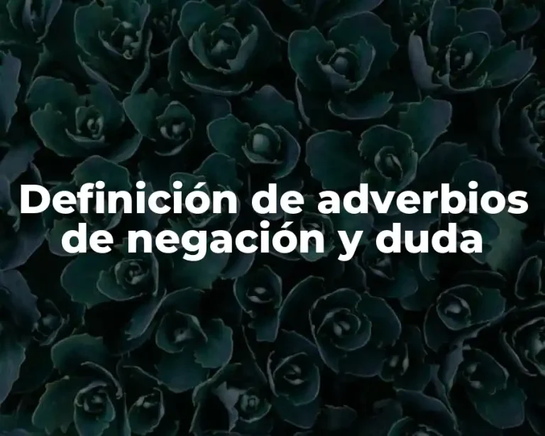 Definición de adverbios de negación y duda