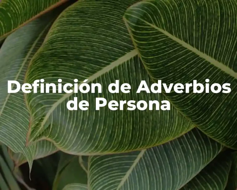 Definición de Adverbios de Persona