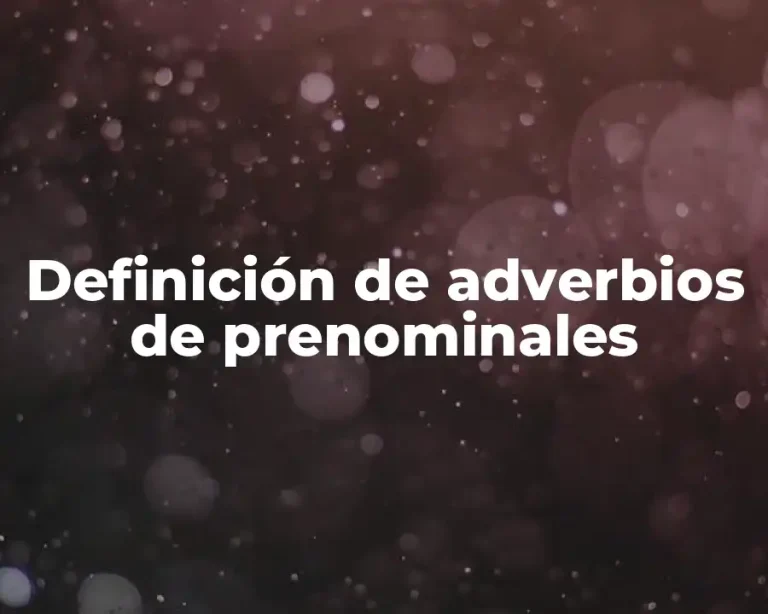 Definición de adverbios de prenominales