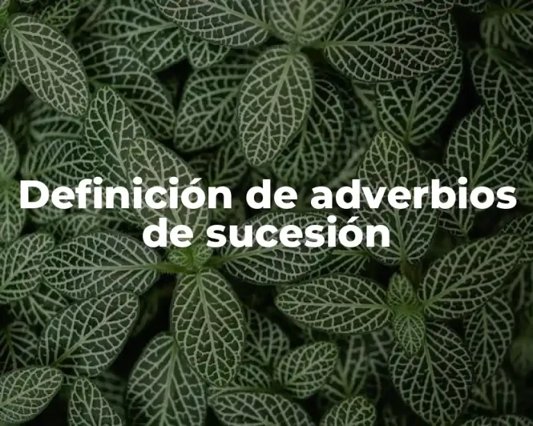 Definición de adverbios de sucesión