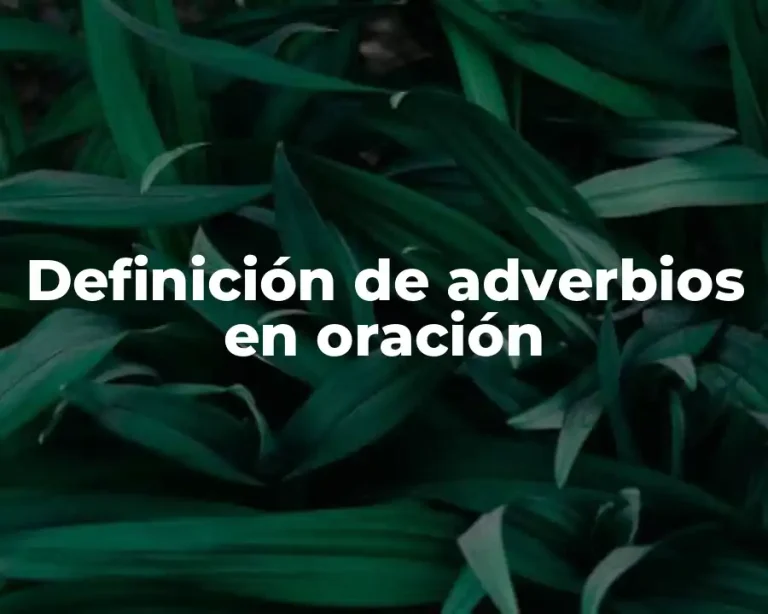 Definición de adverbios en oración