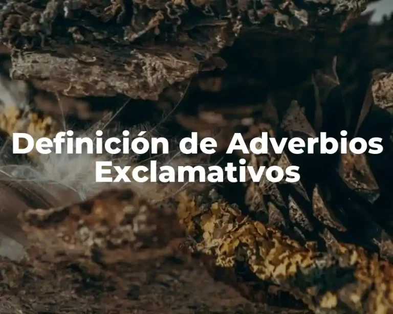 Definición de Adverbios Exclamativos