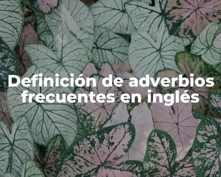 Definición de adverbios frecuentes en inglés