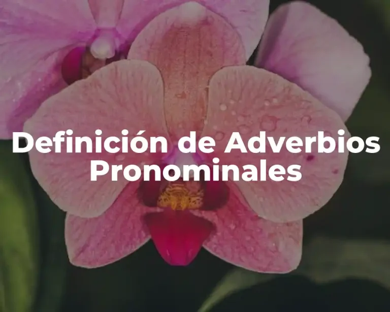 Definición de Adverbios Pronominales