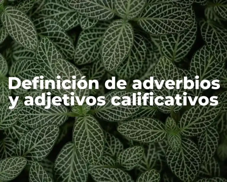 Definición de adverbios y adjetivos calificativos