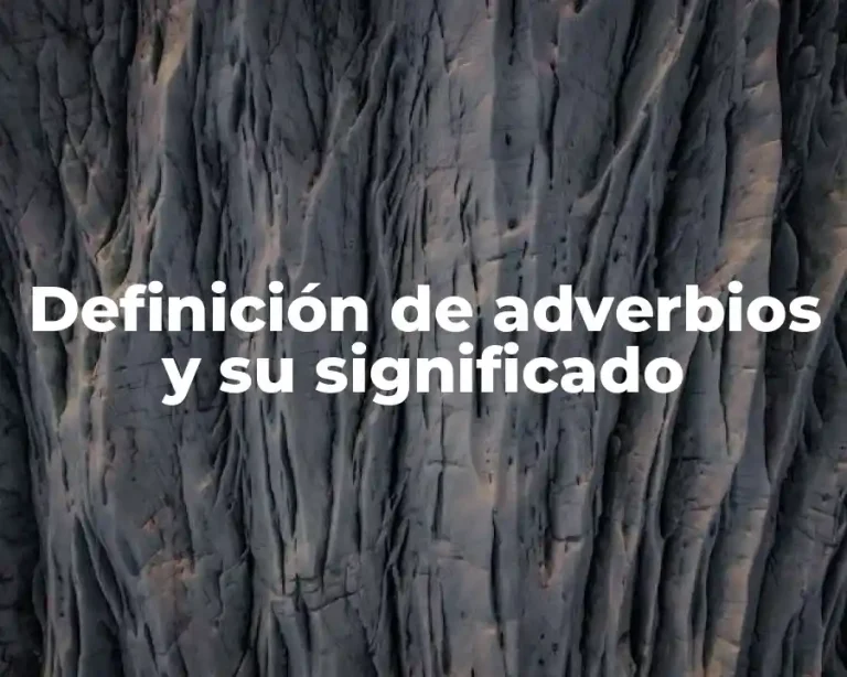 Definición de adverbios y su significado