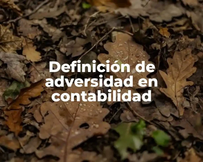 Definición de adversidad en contabilidad