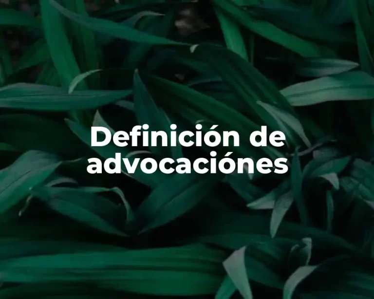 Definición de advocaciónes