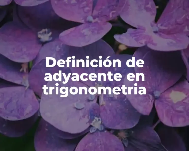 Definición de adyacente en trigonometria