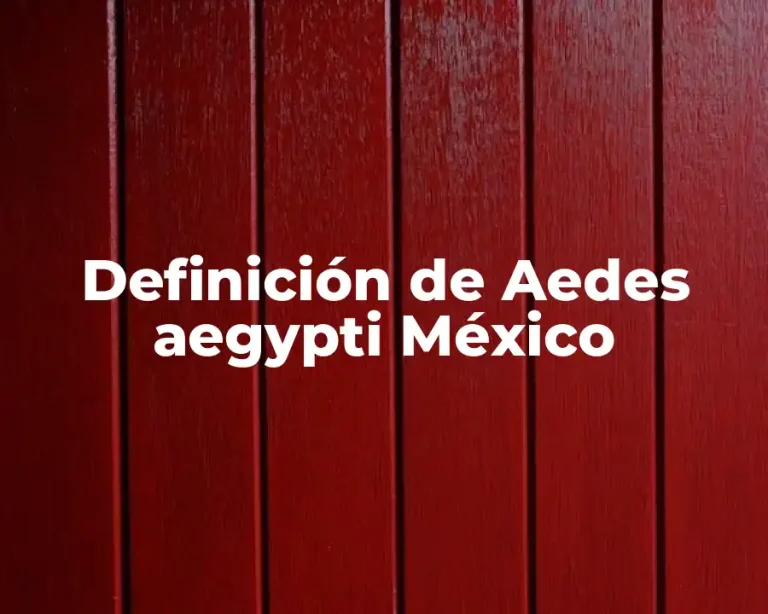 Definición de Aedes aegypti México