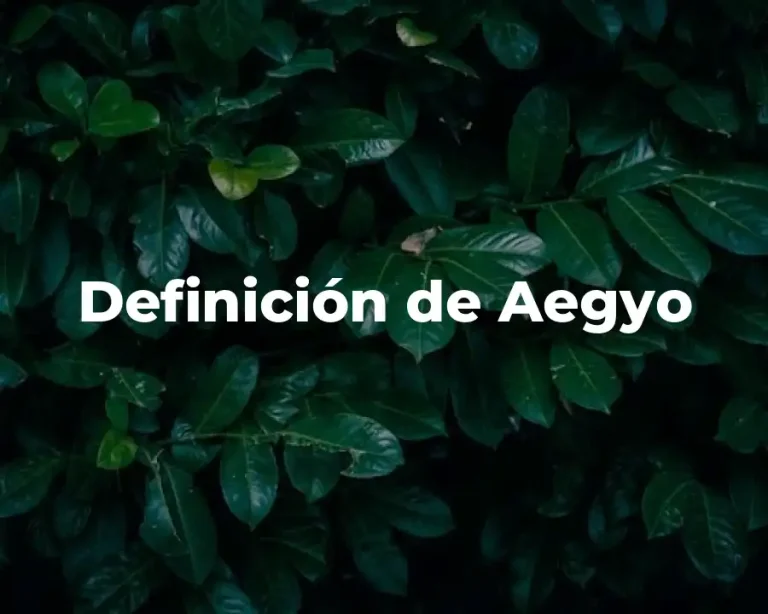 Definición de Aegyo