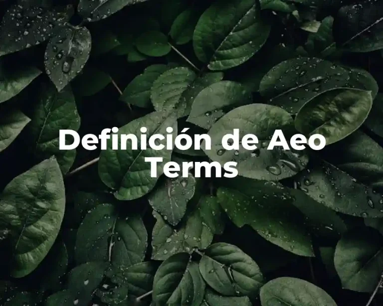 Definición de Aeo Terms