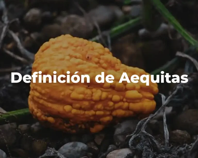 Definición de Aequitas
