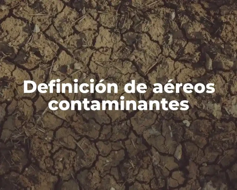 Definición de aéreos contaminantes