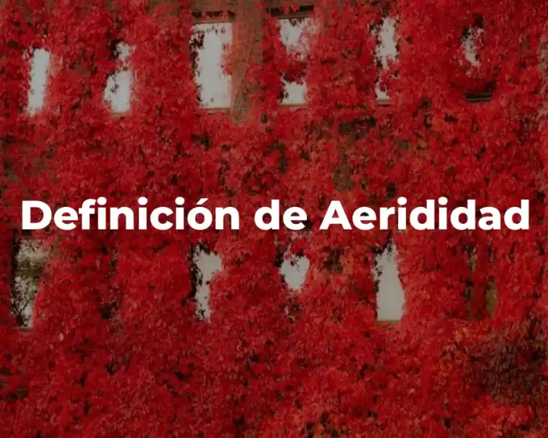 Definición de Aerididad