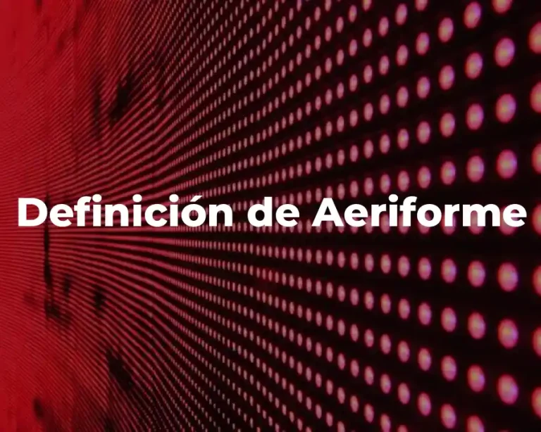 Definición de Aeriforme