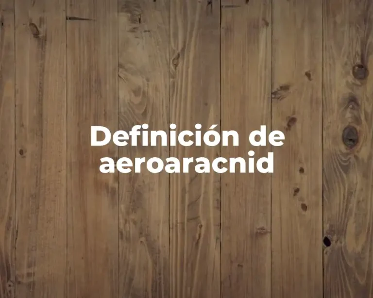 Definición de aeroaracnid