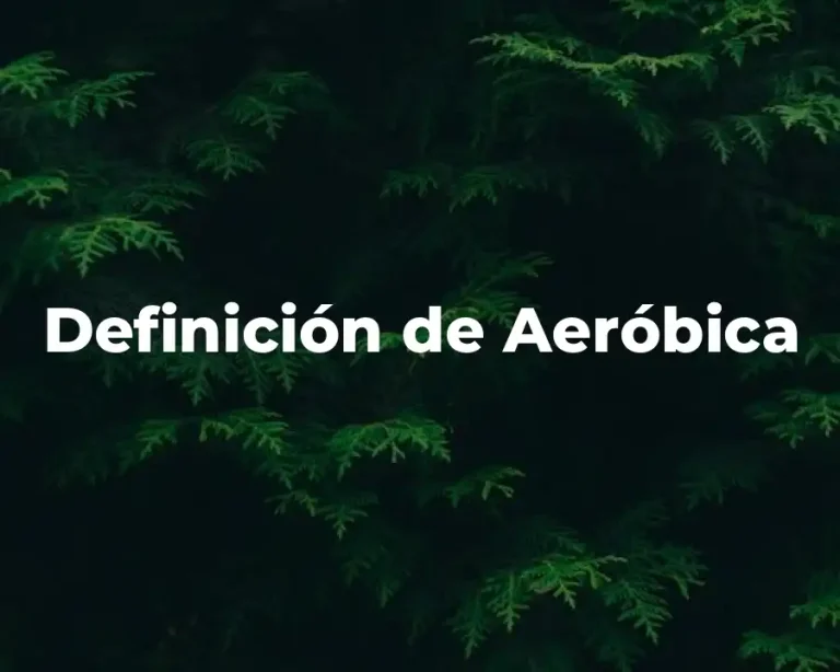 Definición de Aeróbica