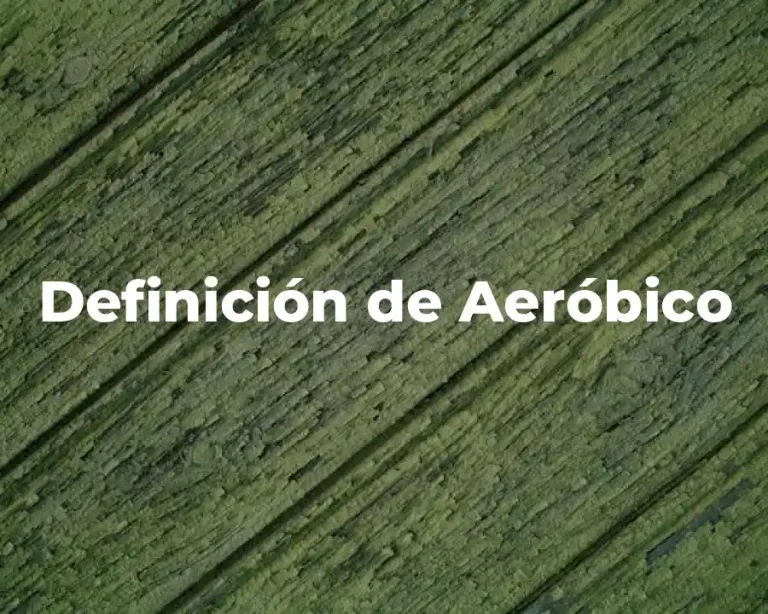 Definición de Aeróbico