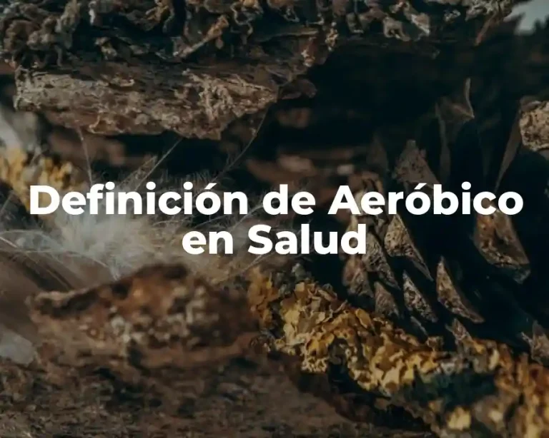 Definición de Aeróbico en Salud
