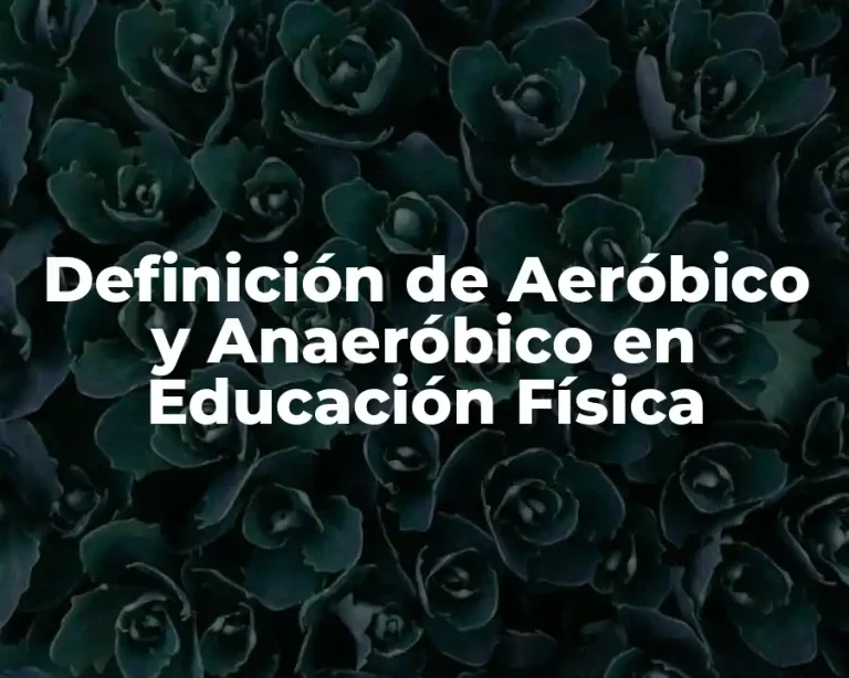 Definición de Aeróbico y Anaeróbico en Educación Física