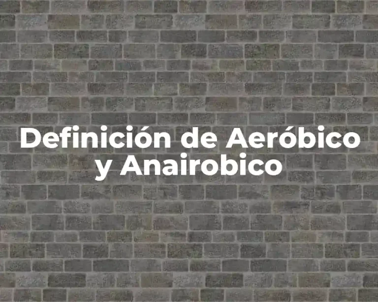 Definición de Aeróbico y Anairobico