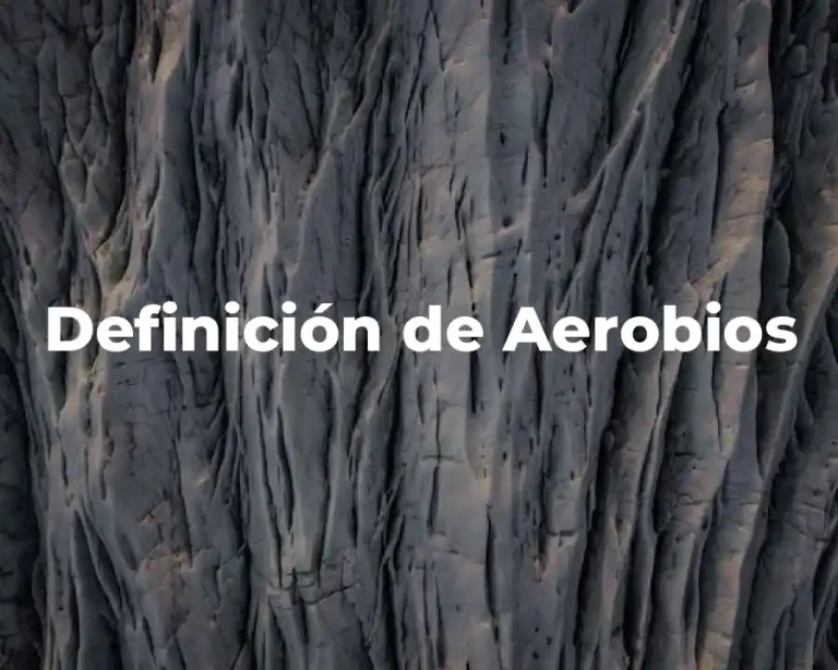Definición de Aerobios