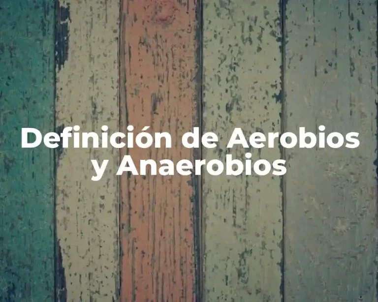 Definición de Aerobios y Anaerobios