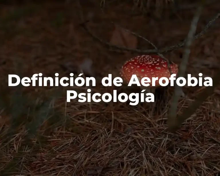 Definición de Aerofobia Psicología