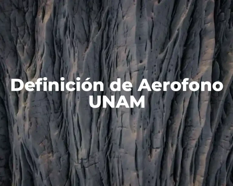 Definición de Aerofono UNAM