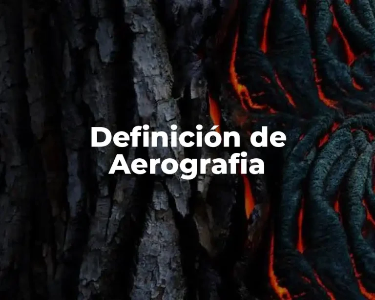 Definición de Aerografia