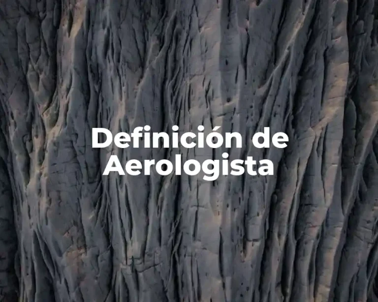 Definición de Aerologista