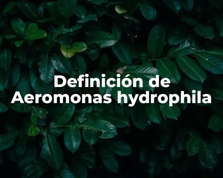 Definición de Aeromonas hydrophila