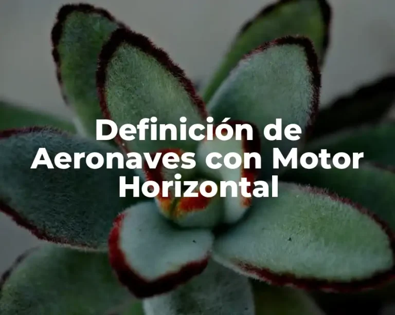 Definición de Aeronaves con Motor Horizontal