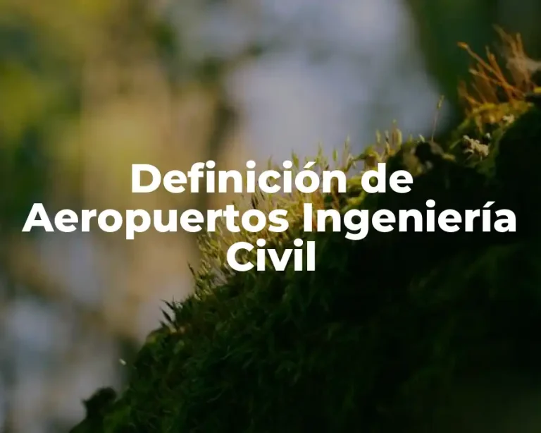 Definición de Aeropuertos Ingeniería Civil