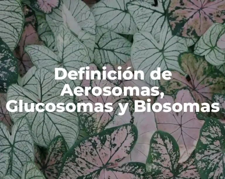 Definición de Aerosomas, Glucosomas y Biosomas