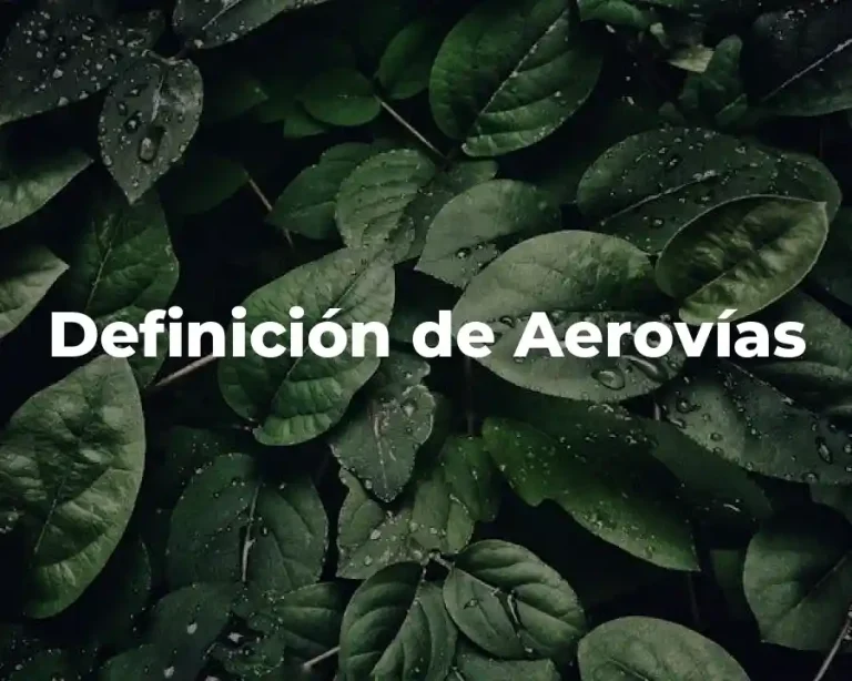 Definición de Aerovías