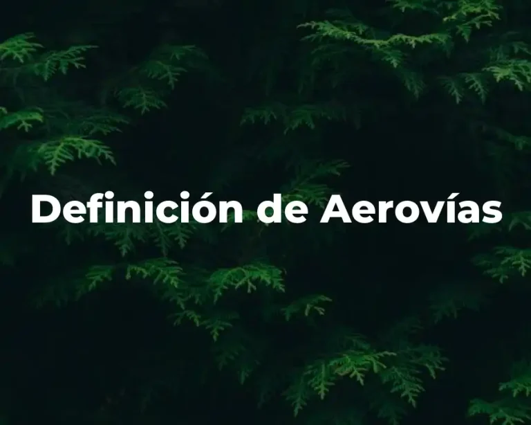Definición de Aerovías