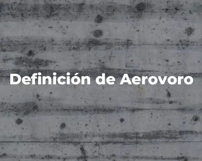 Definición de Aerovoro