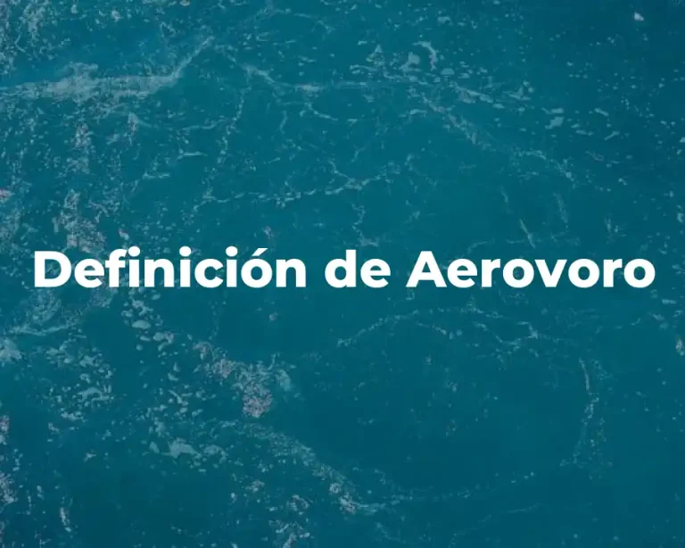 Definición de Aerovoro